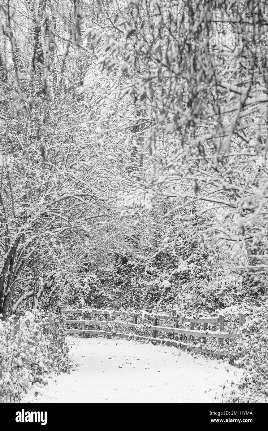 Narnia snow Black and White Stock Photos & Images - Alamy