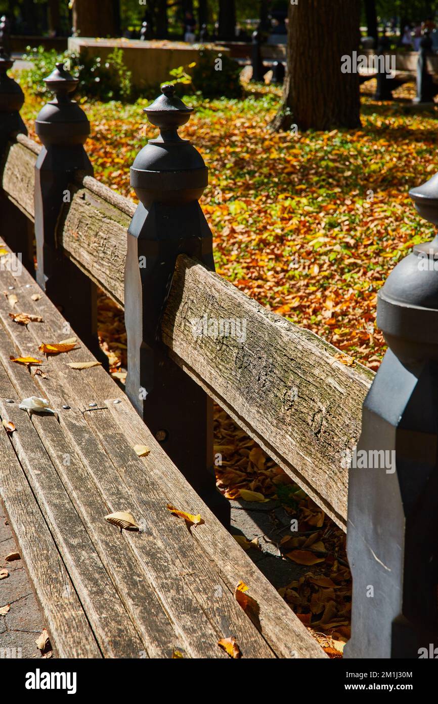 Wood benches in detail at The Mall in Central Park New York City Stock Photo Alamy