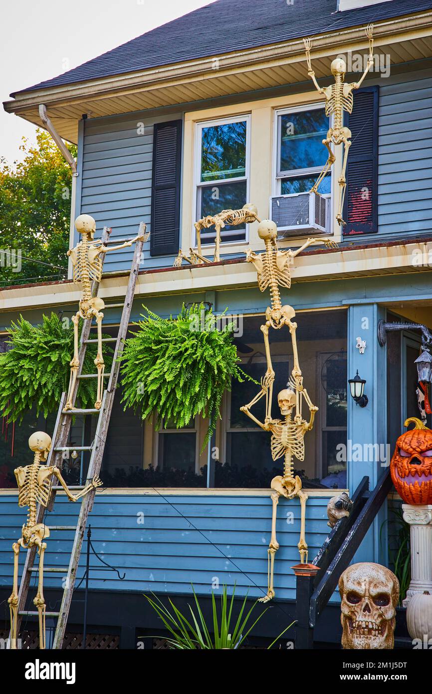 Halloween decorations on exterior of home with skeletons climbing up to roof Stock Photo