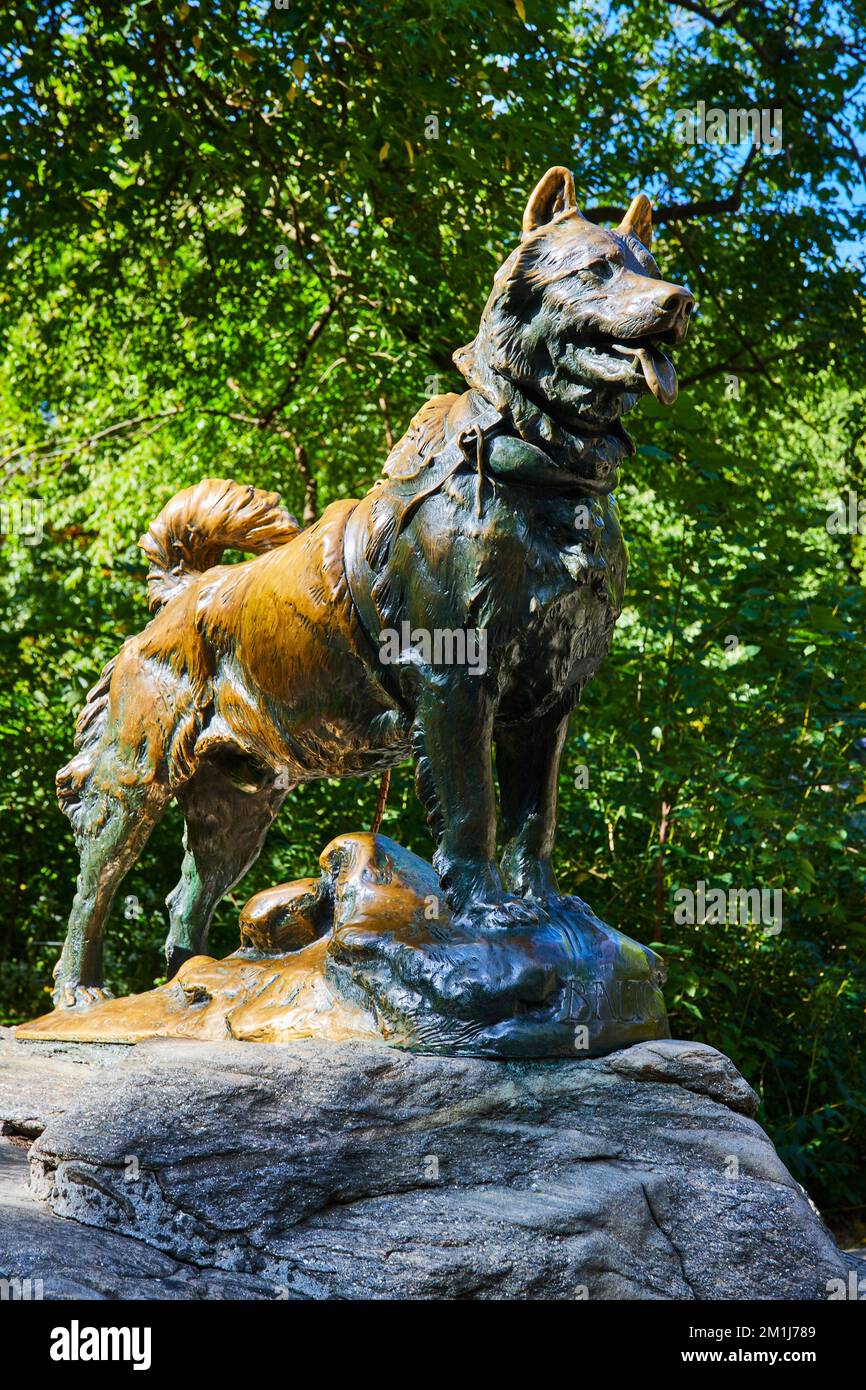 Iconic Balto sled dog statue in Central Park New York City Stock Photo