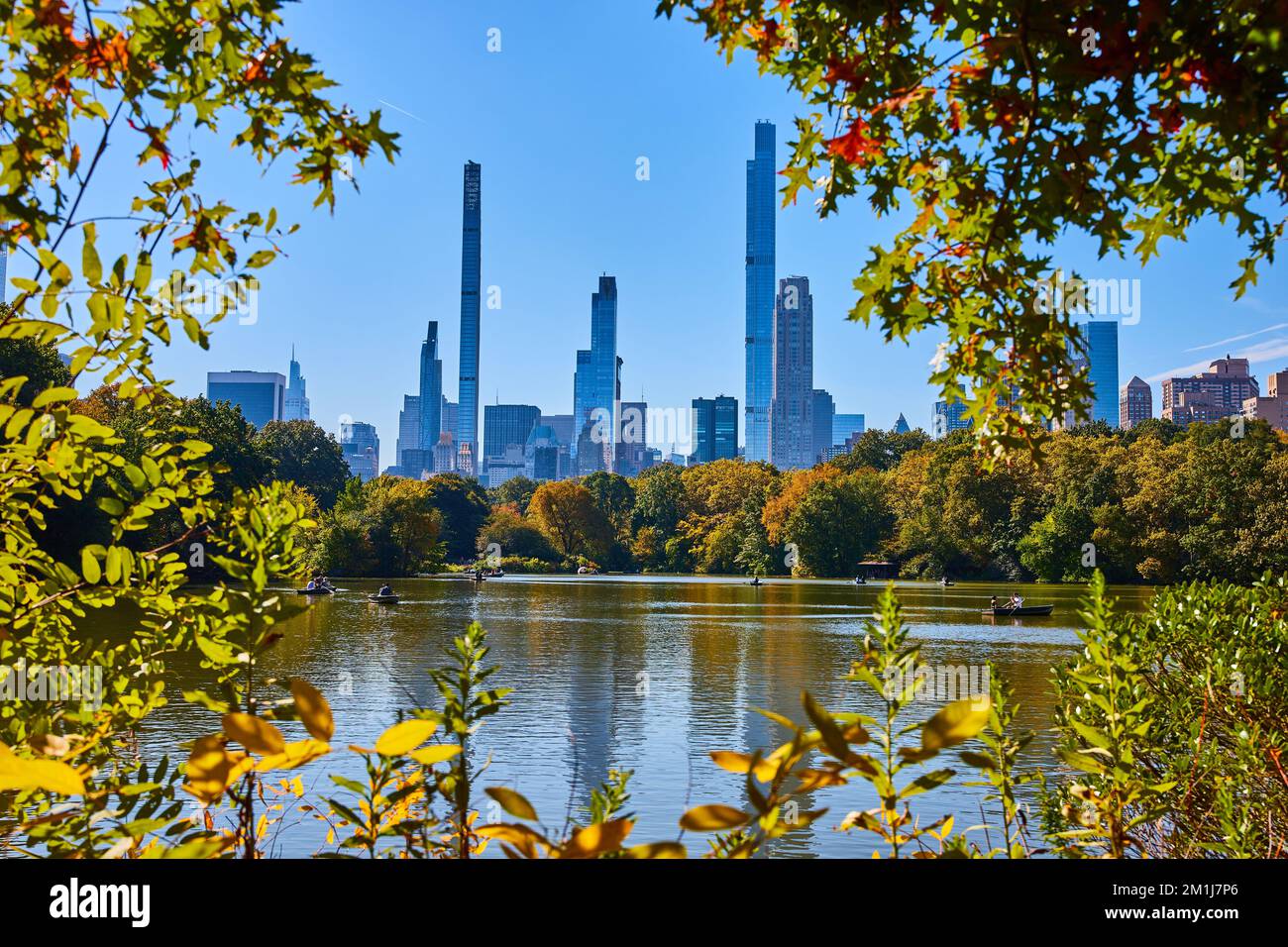 Trees in central park new york hi-res stock photography and images - Alamy