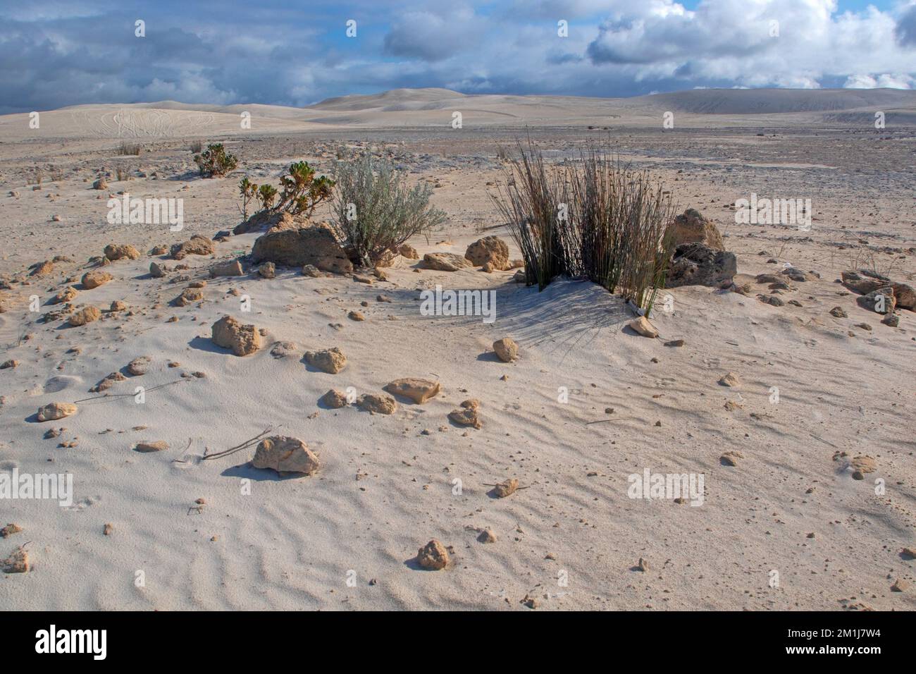Sand dune at Lancelin Stock Photo