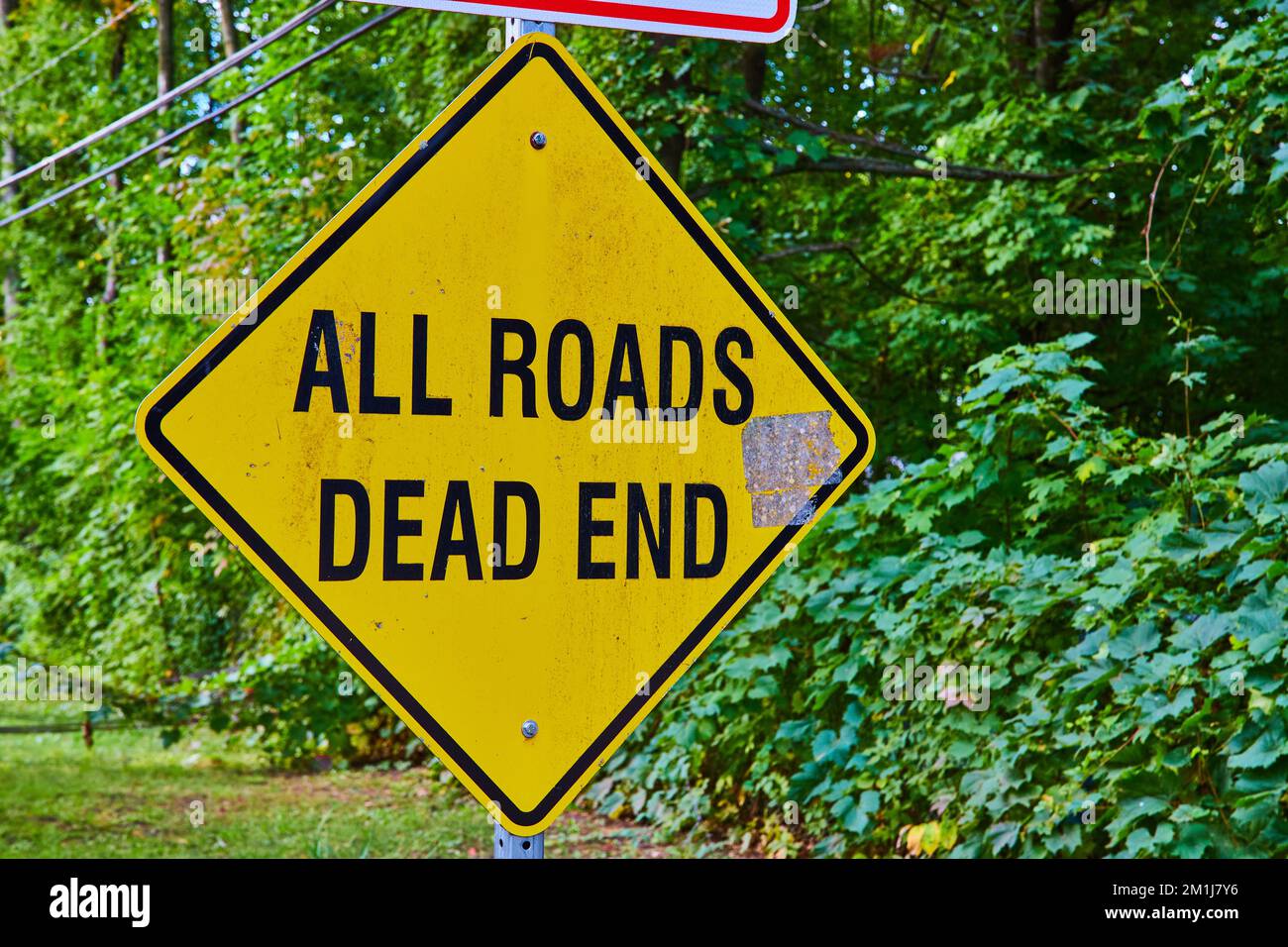 Yellow road sign reading ALL ROADS DEAD END surrounded by greenery ...