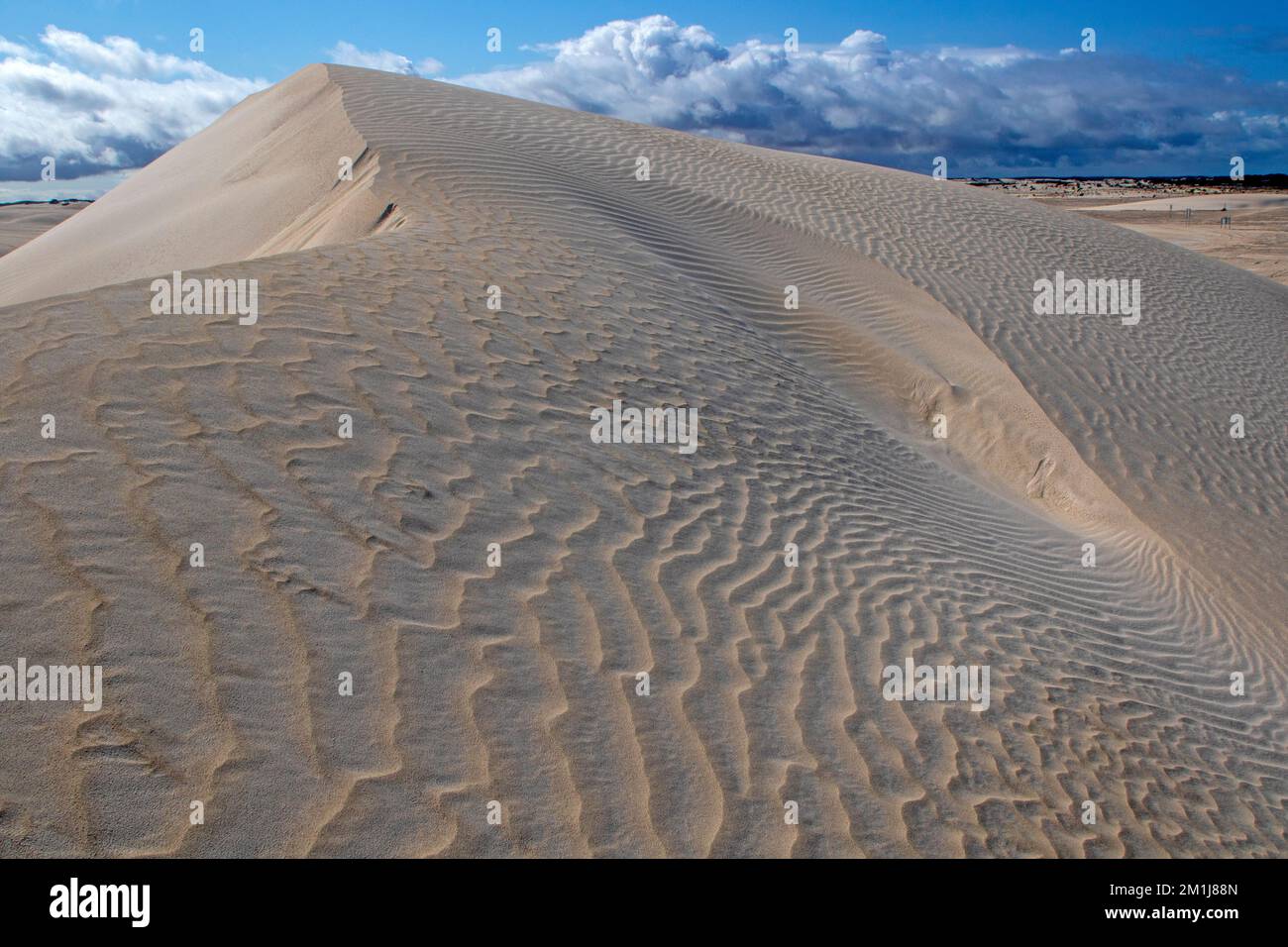Sand dune at Lancelin Stock Photo