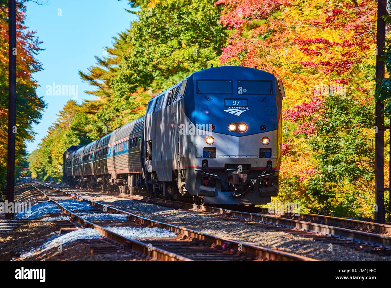 Amtrak train going through forest during fall foliage in Maine Stock Photo