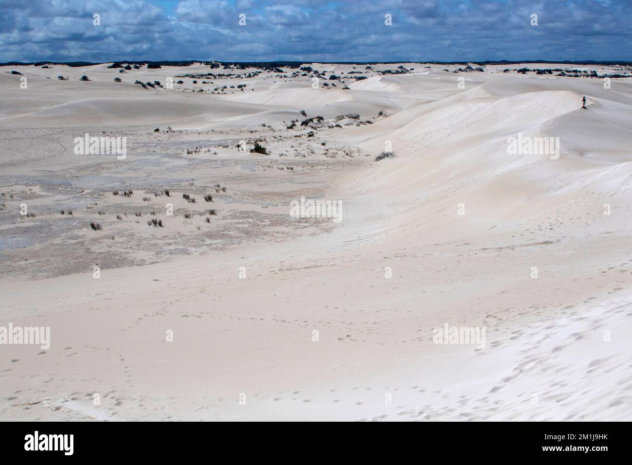 Woman atop the sand dunes at Lancelin Stock Photo