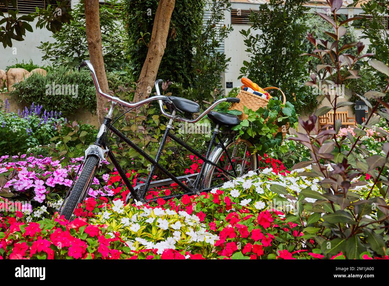 Detail of French bicycle inside of flower gardens of Botanical Gardens