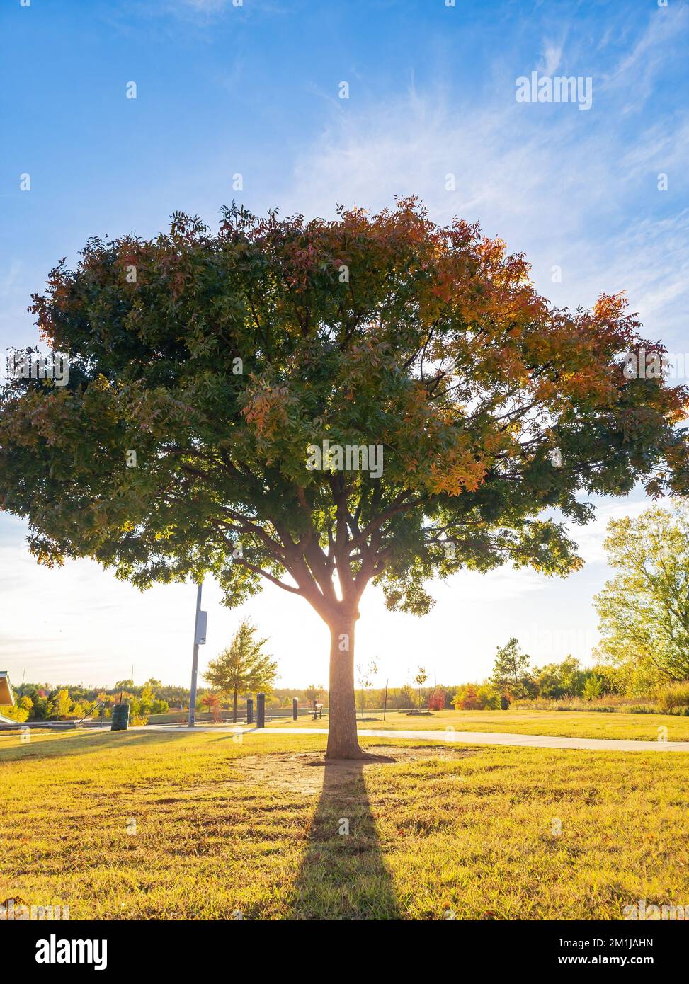 Sunny landscape of the YMCA PARK at Oklahoma Stock Photo