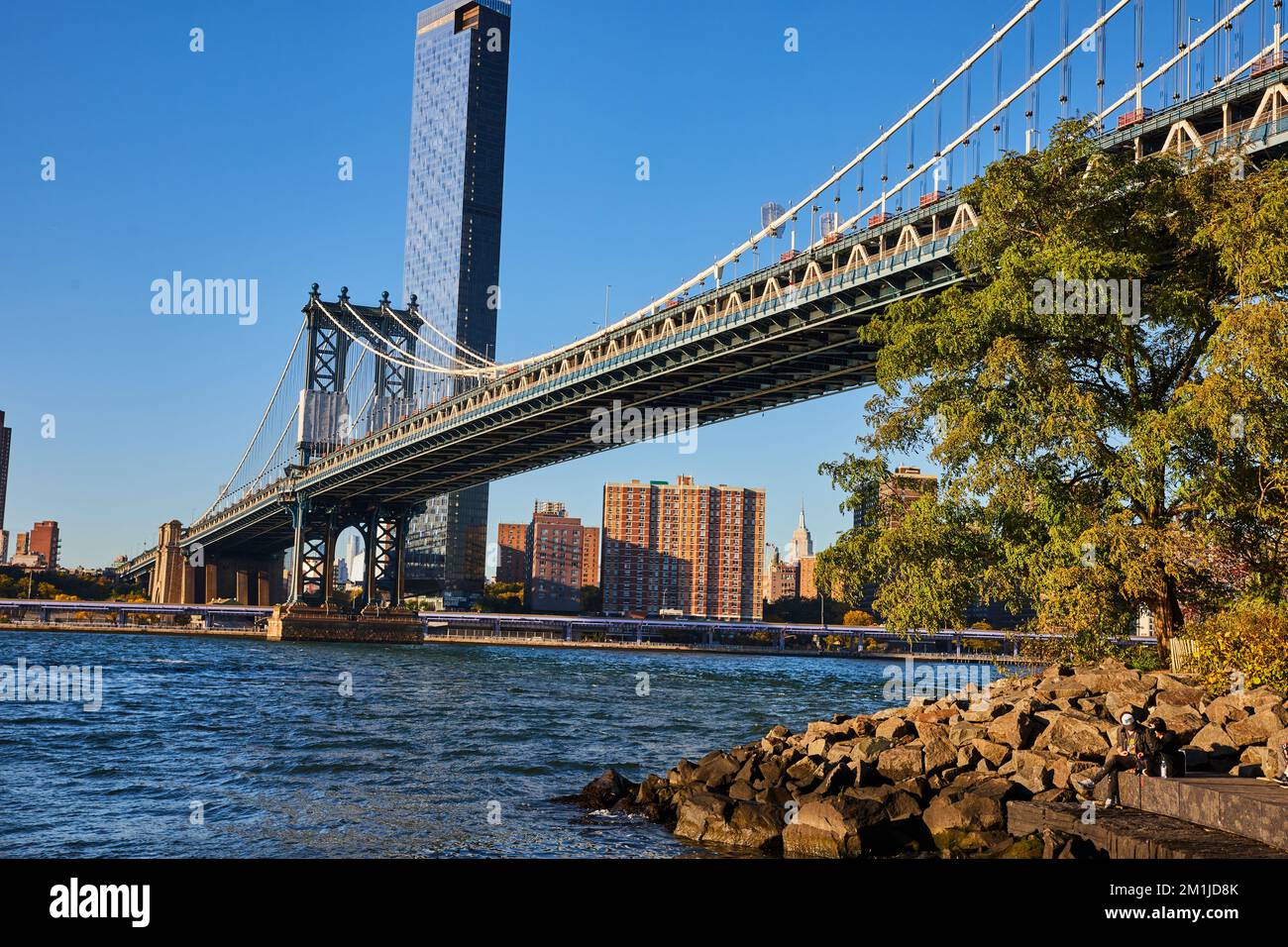 Rocky coast and tree with New York City skyline framing the Manhattan