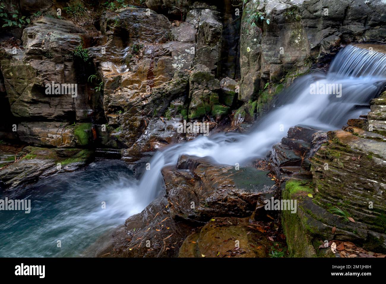 Cool spring water flows through the rocks in the rainforest. Long ...