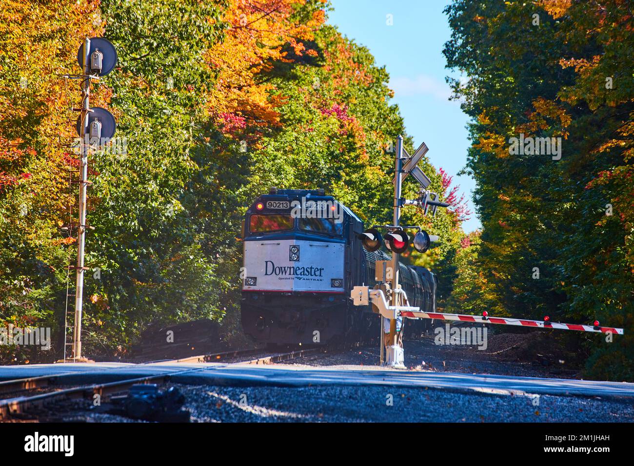 Back of Amtrak train going over road and through fall forest Stock Photo