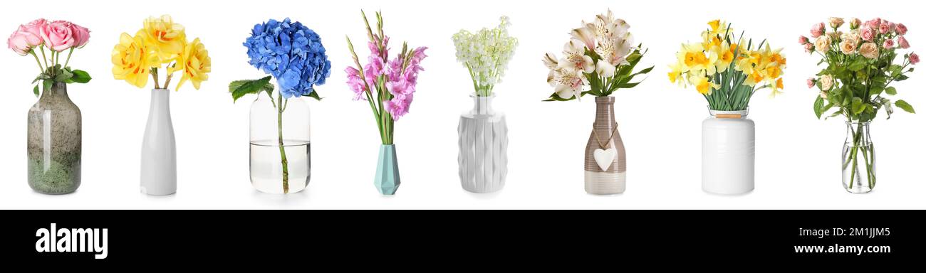 Collage of beautiful fresh flowers in stylish vases on white background ...