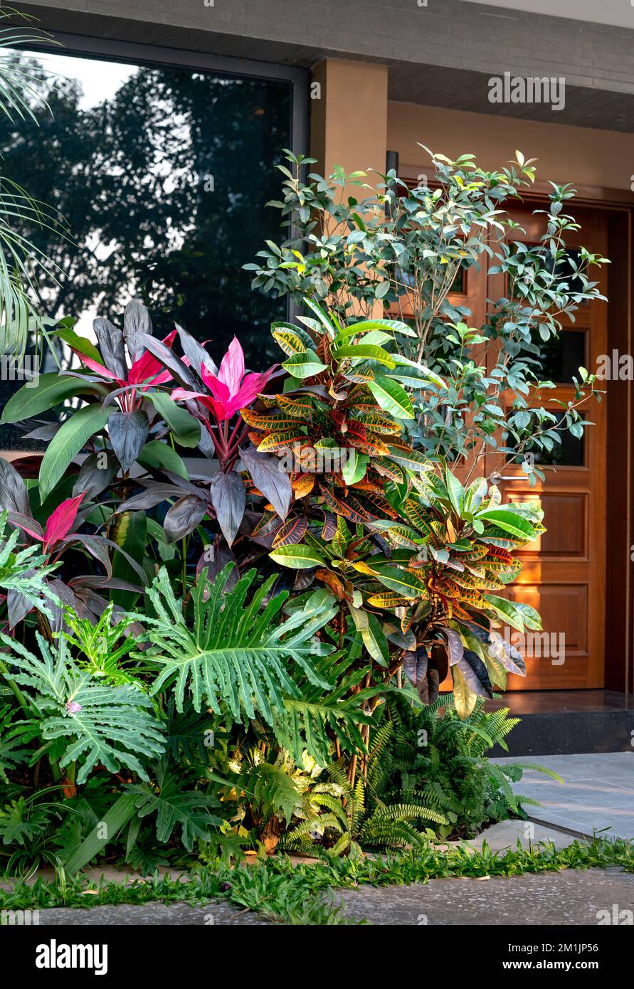 decorative shrubs in front of the house Stock Photo - Alamy