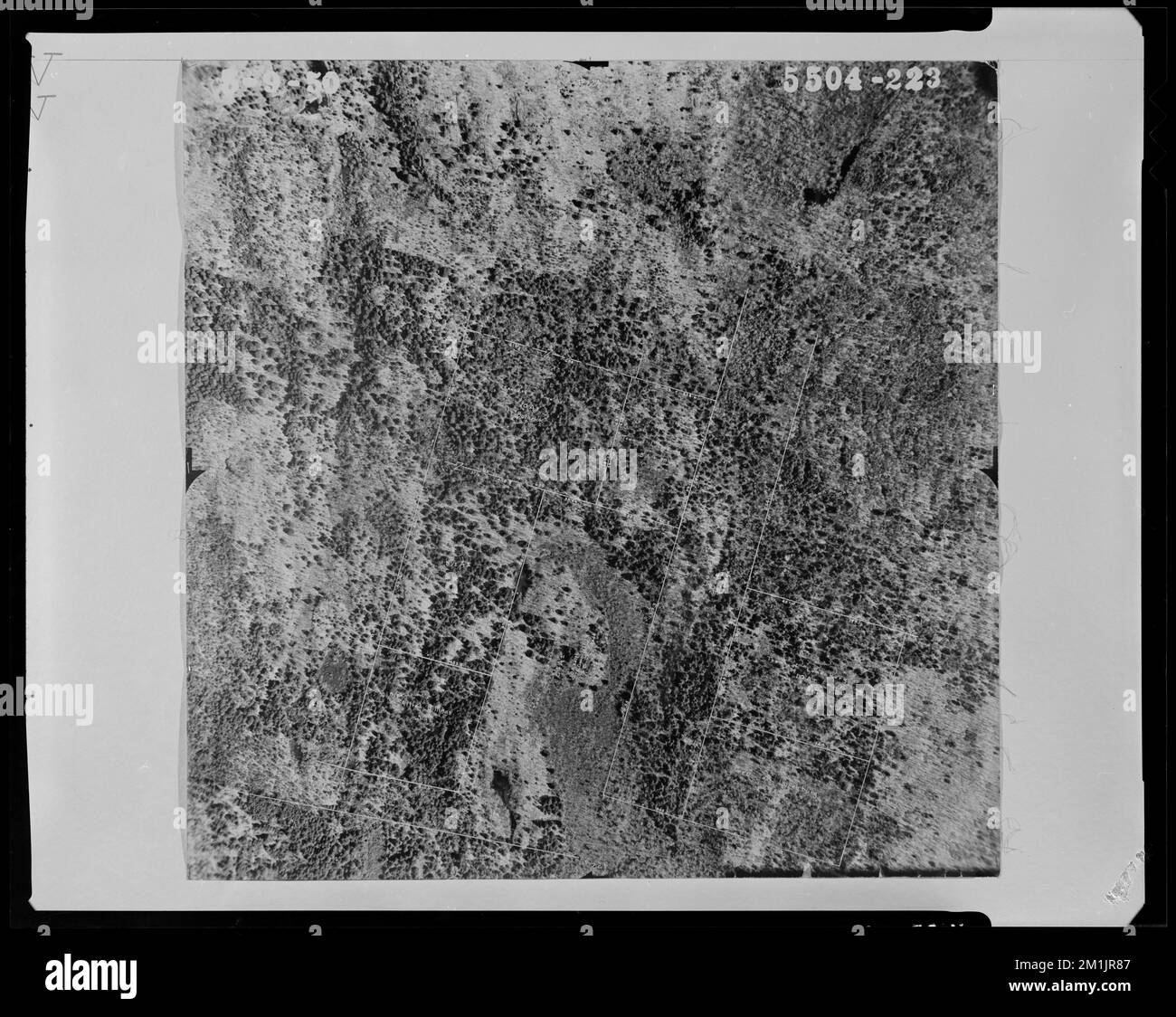 Aerial view of properties, Town of Lunenburg , Land subdivision