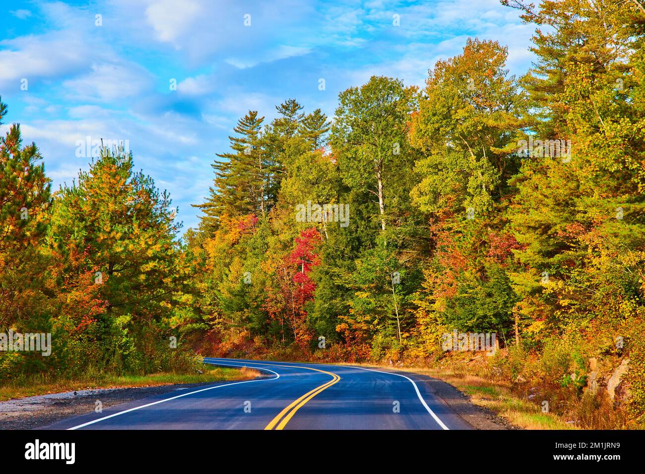 Road winding through fall forests with blue skies Stock Photo