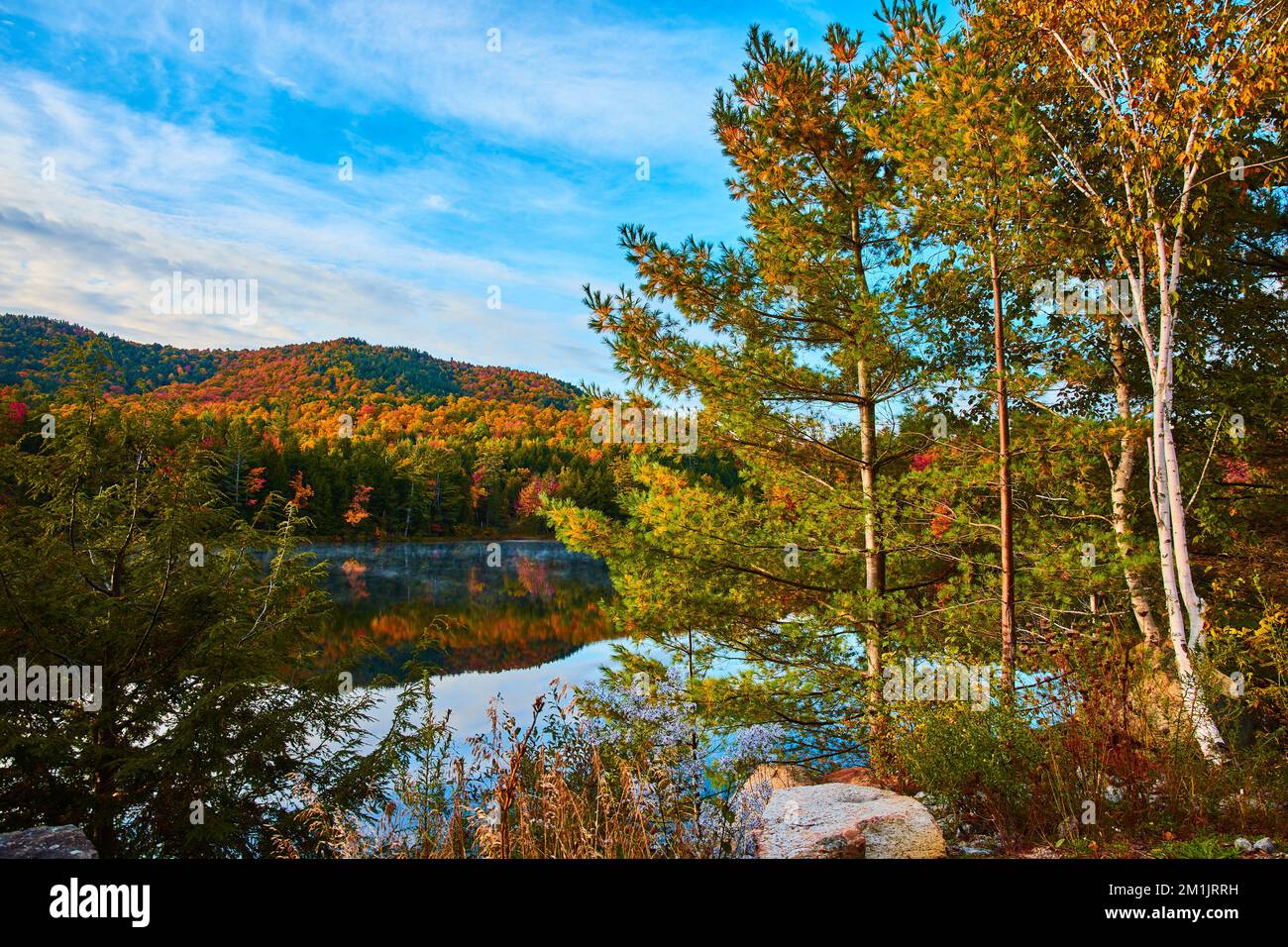 Beautiful lake with trees hi-res stock photography and images - Alamy