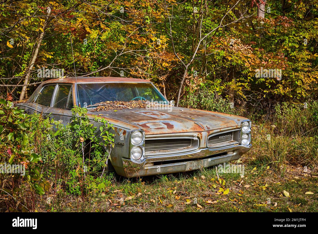 Rusted Pontiac car from side set in forest with fall leaves around Stock Photo
