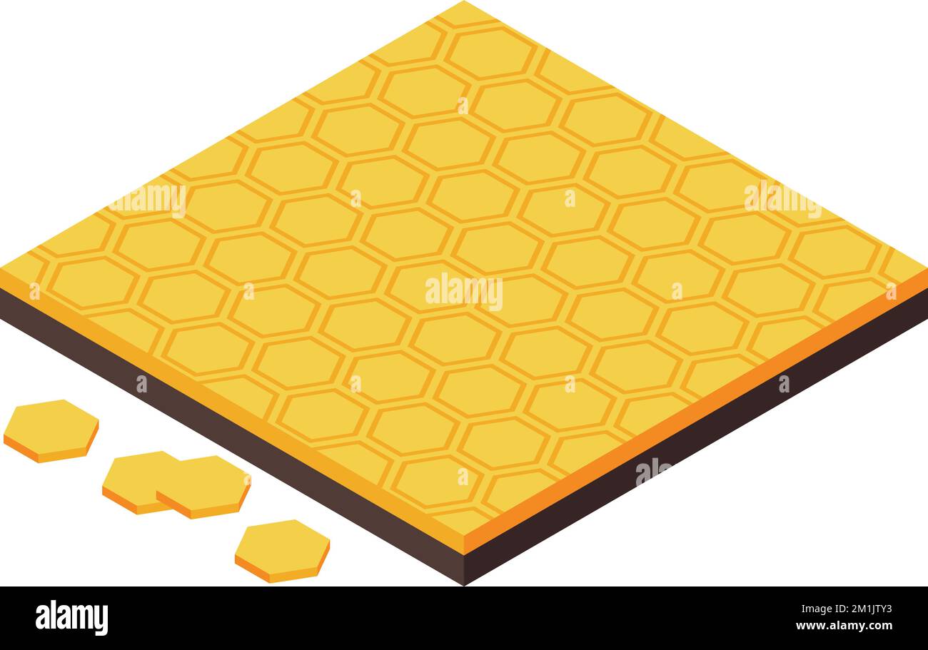 Comb floor icon isometric vector. Wood worker. New interior Stock Vector
