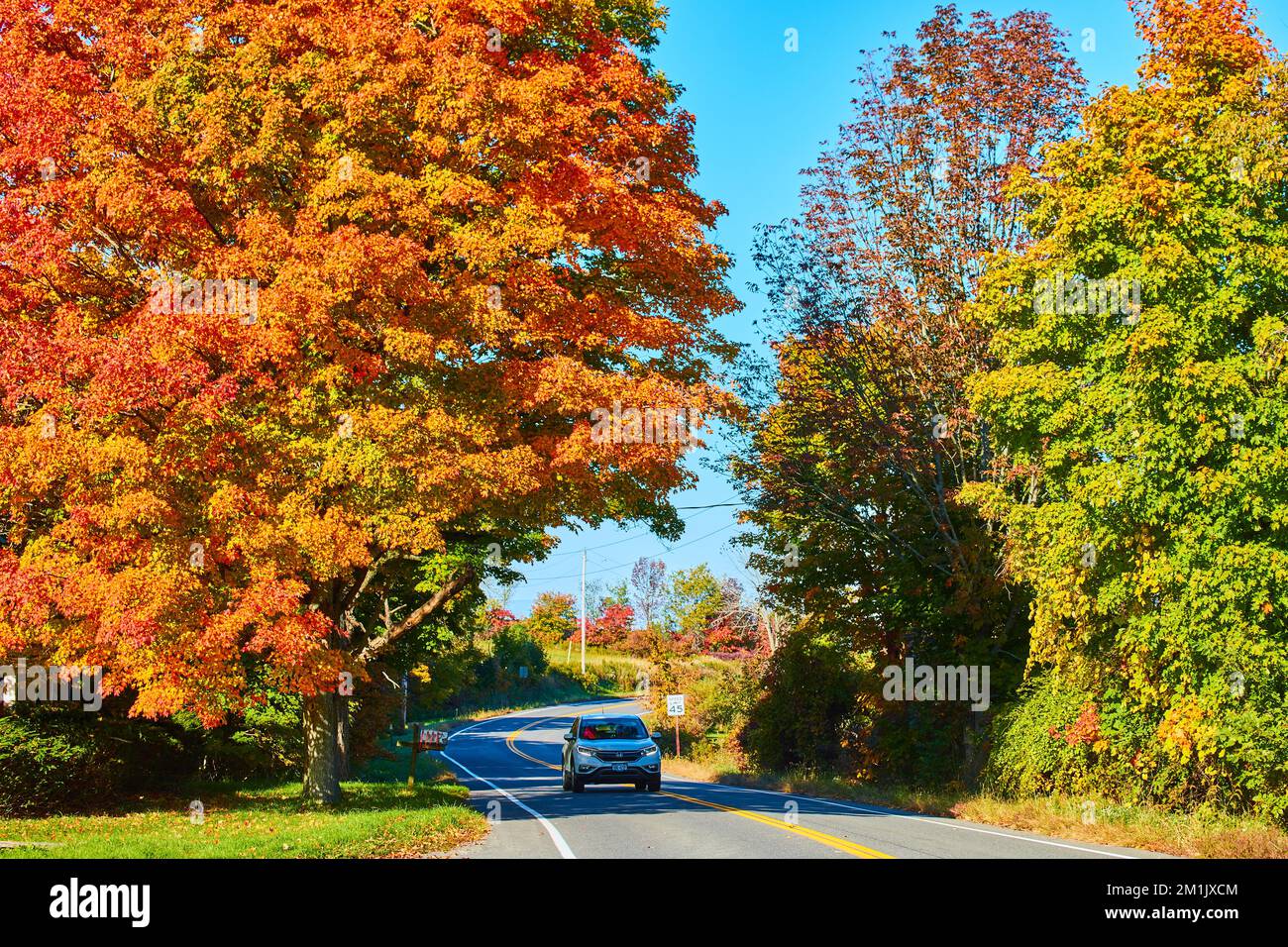 Road through fall forest with car and stunning fall orange-leafed tree by mailbox Stock Photo