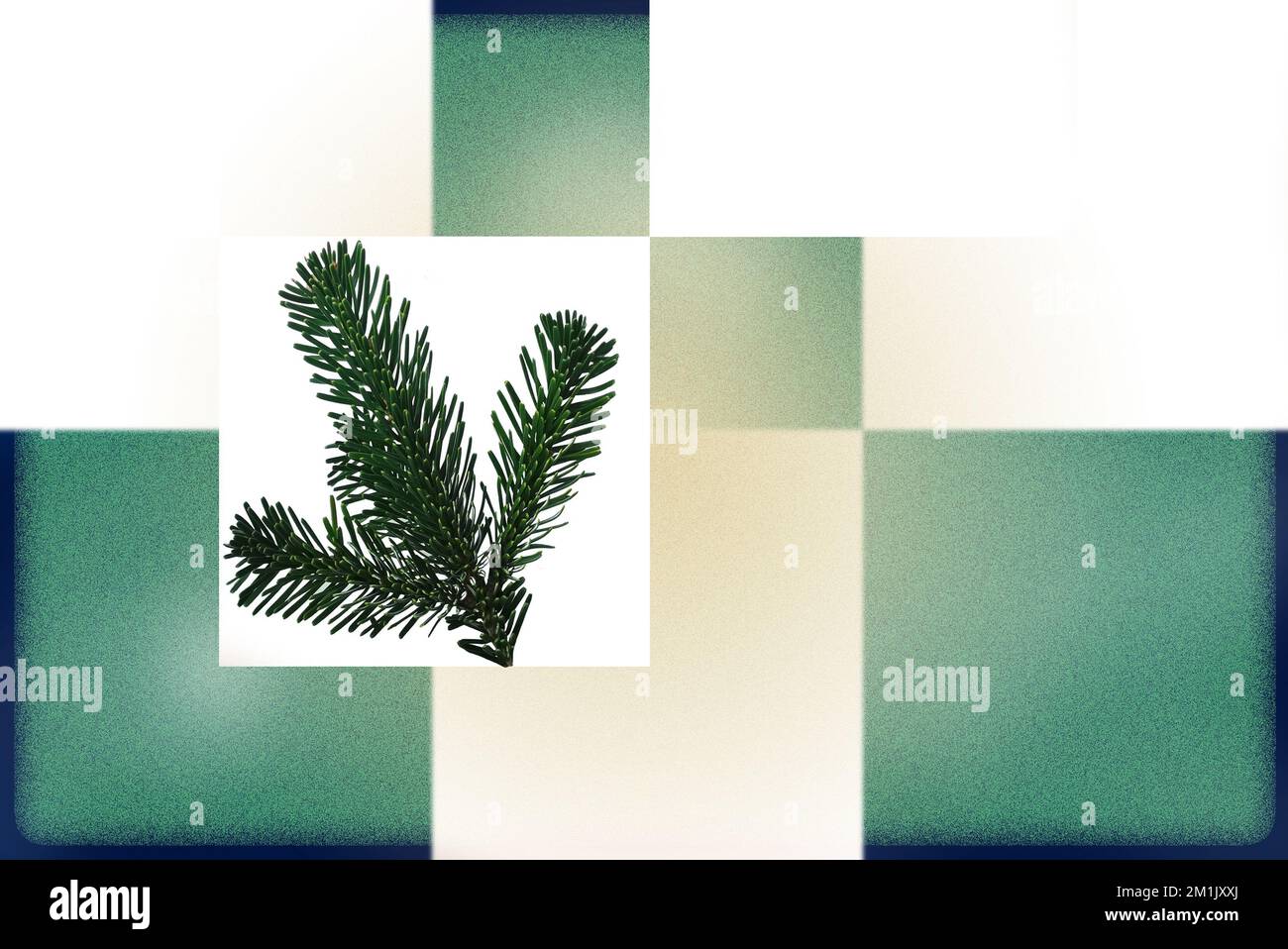 Weihnachtliche Vorlagen mit Symbolen, Tannenzweig, grün Stock Photo - Alamy