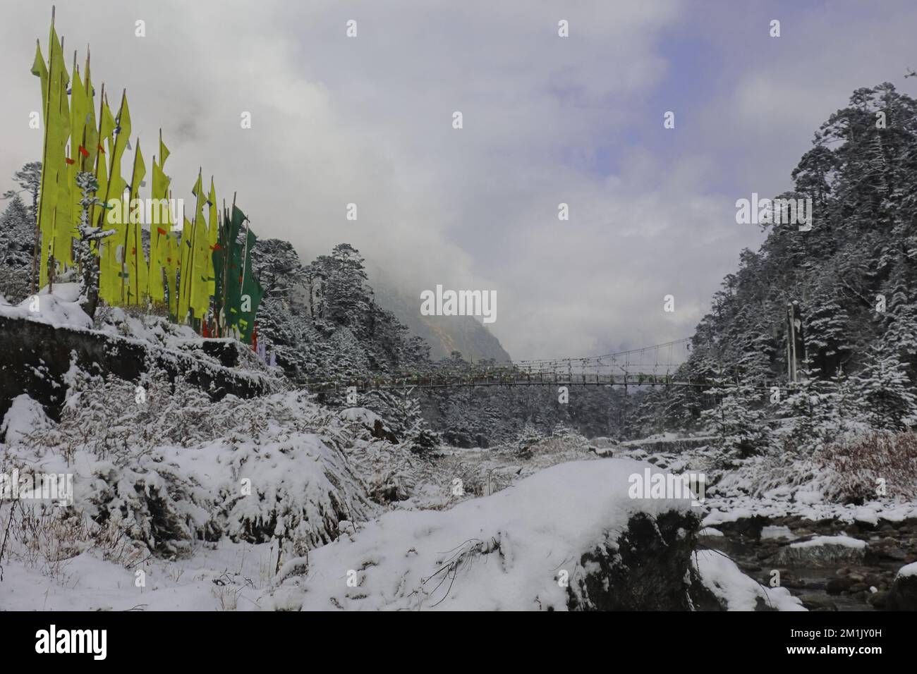 mountain stream flowing through the snow covered yumthang valley in