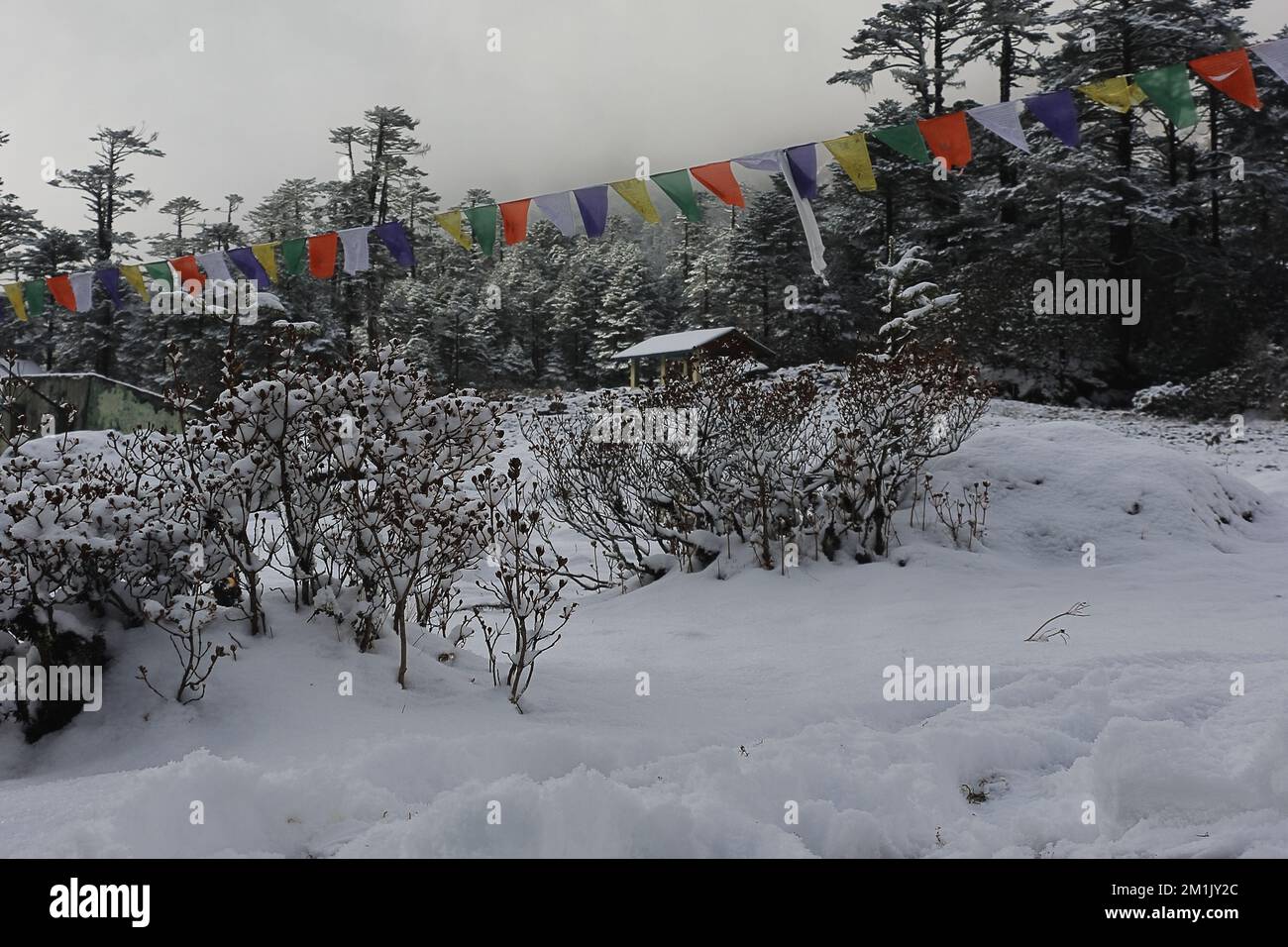 snow covered yumthang valley and buddhist prayer flags in winter season