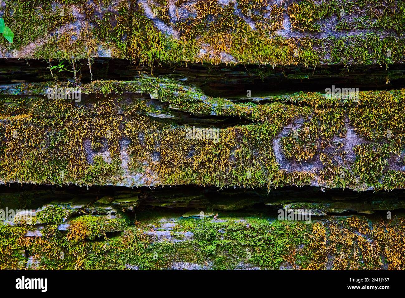 Stone wall with cracks texture and covered in moss Stock Photo