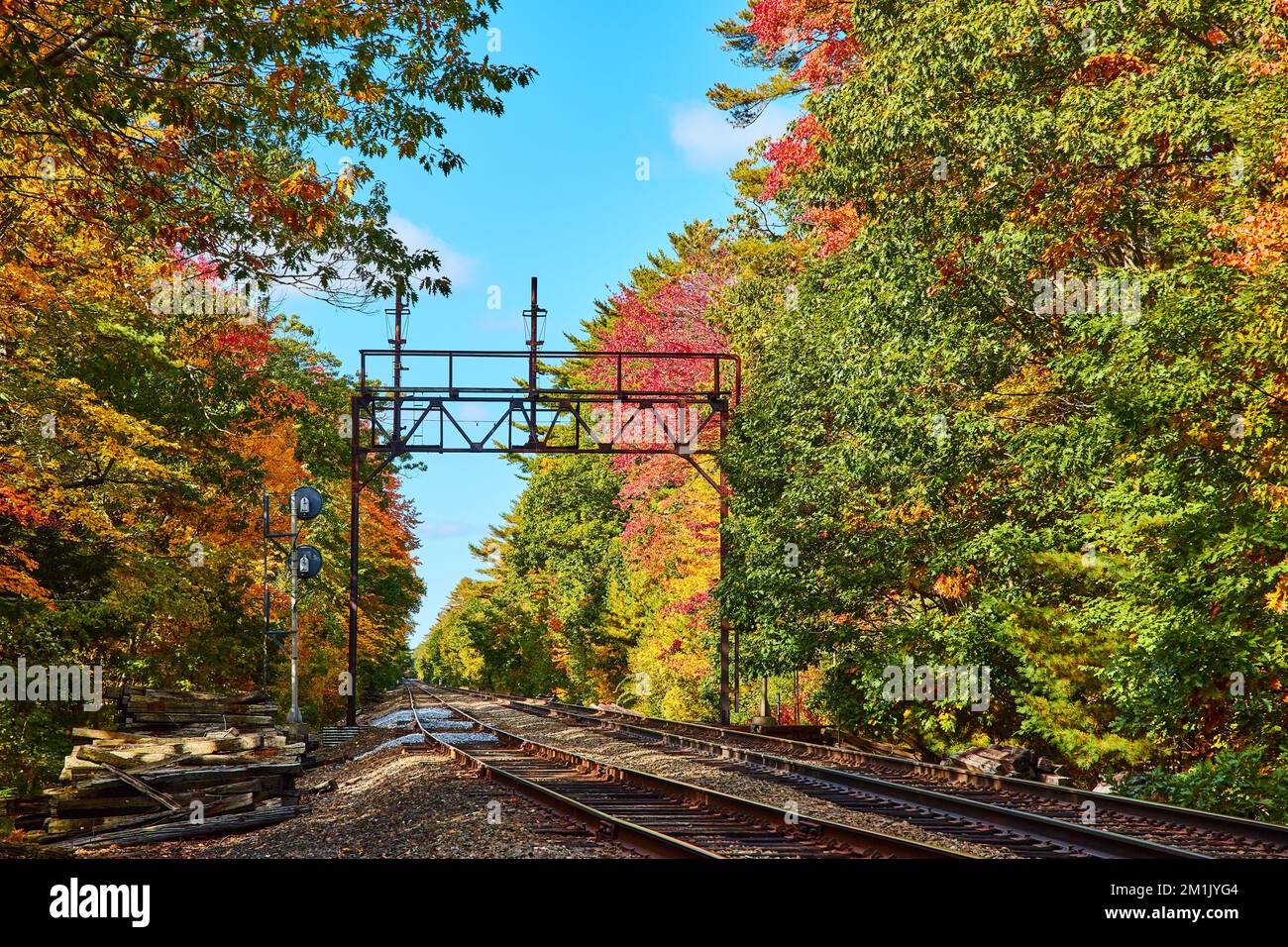 Train tracks empty through fall forest in Maine Stock Photo