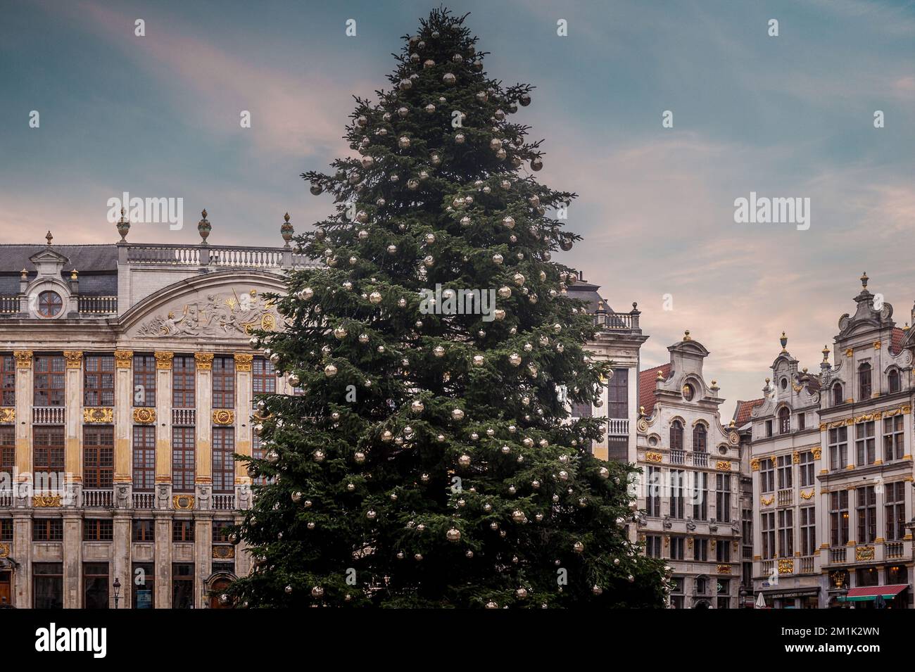Christmas Tree in Central Brussels Stock Photo