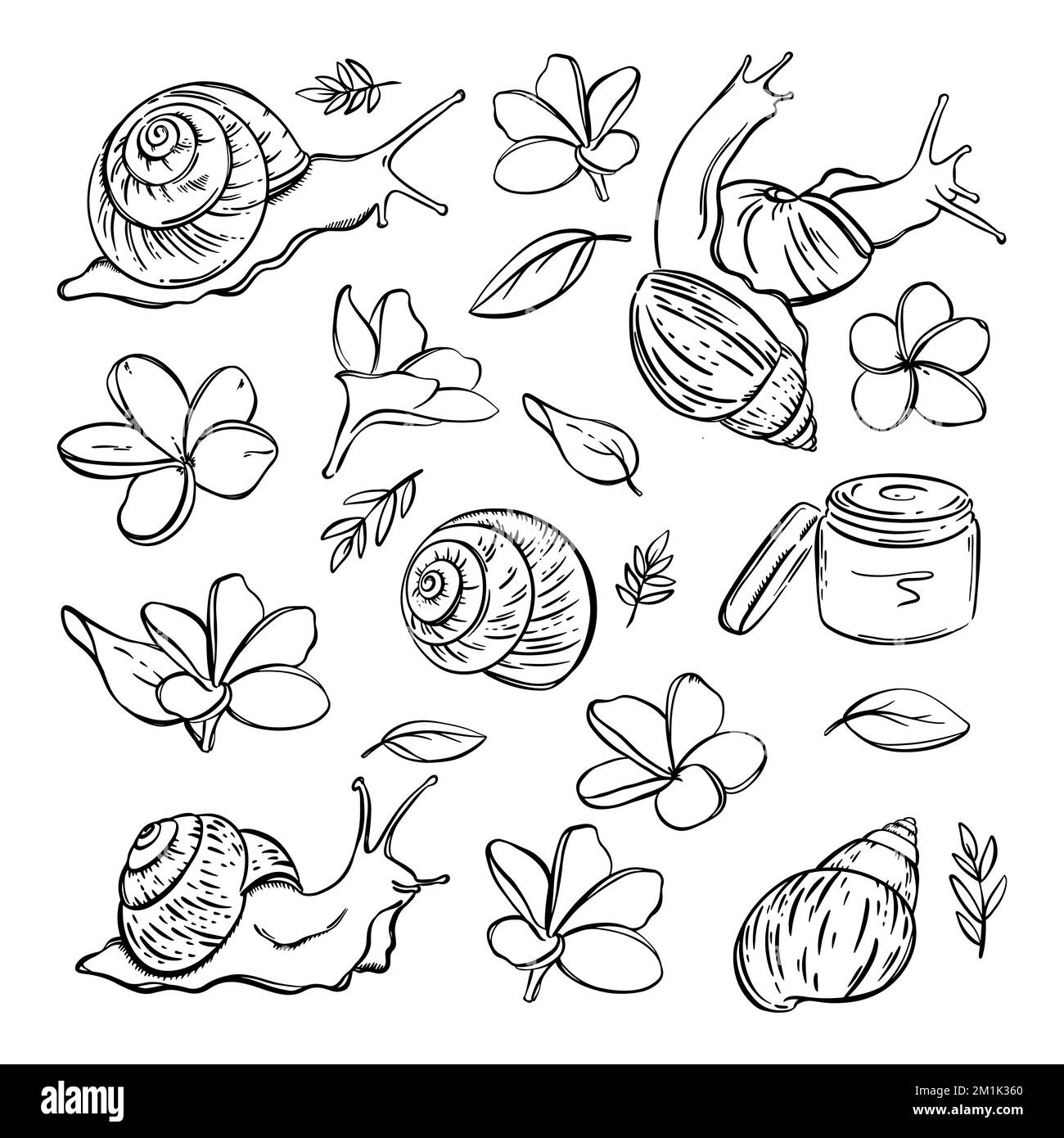 SNAIL COSMETICS MONOCHROME Various Gastropoda And Mucin Organic Preparations For Health And Beauty Flowers Pharmaceutical Sketch Hand Drawn Element Se Stock Vector