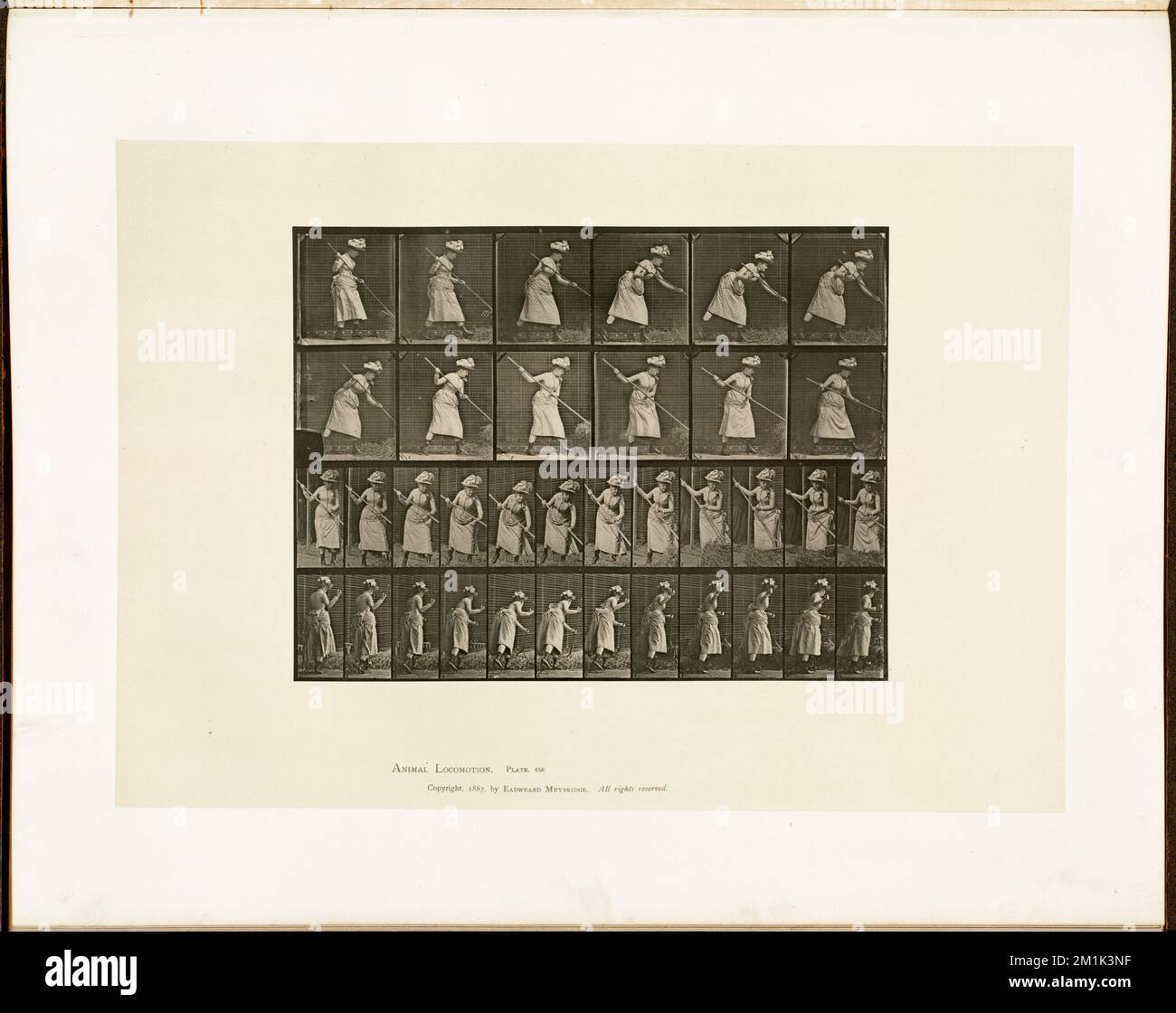 Animal locomotion. Plate 456 , Women, Hay, Raking Sweeping, Human ...