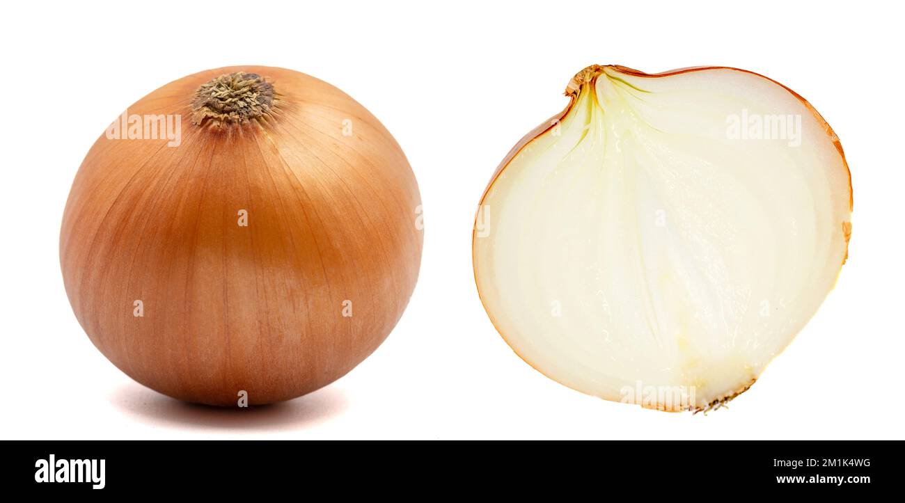 Set of onions images. Onion bulbs isolated. Whole golden onion bulb and