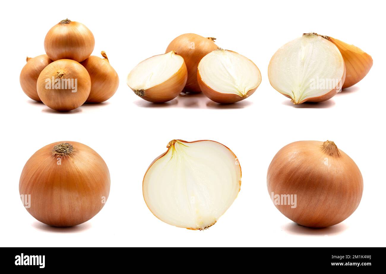 Set of onions images. Onion bulbs isolated. Whole golden onion bulb and