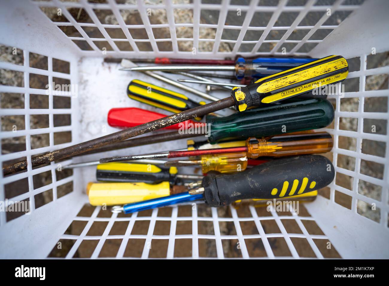 female working in a tool measuring timber in australia Stock