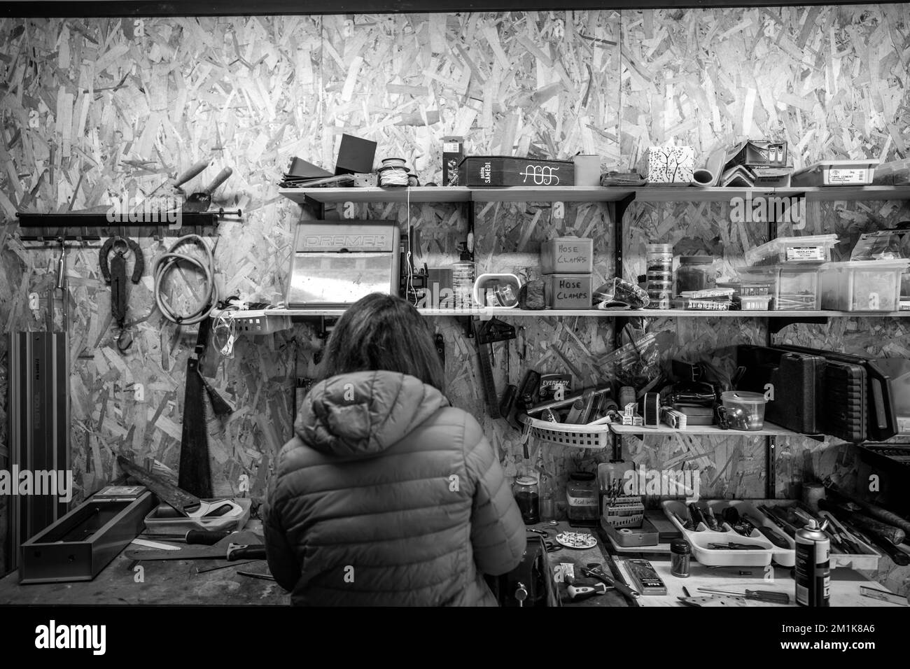 female working in a tool measuring timber in australia Stock