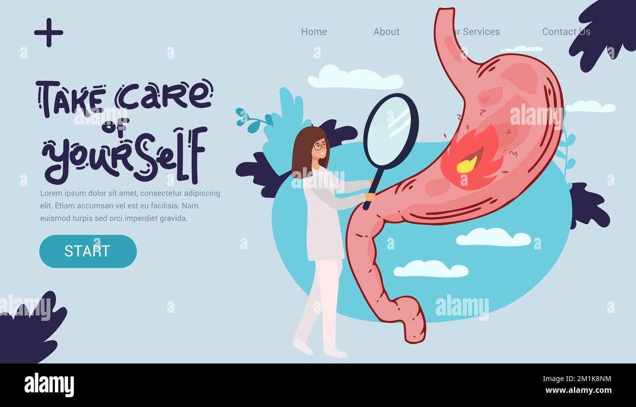 Group of doctors check up human stomach. A doctor holding magnifying