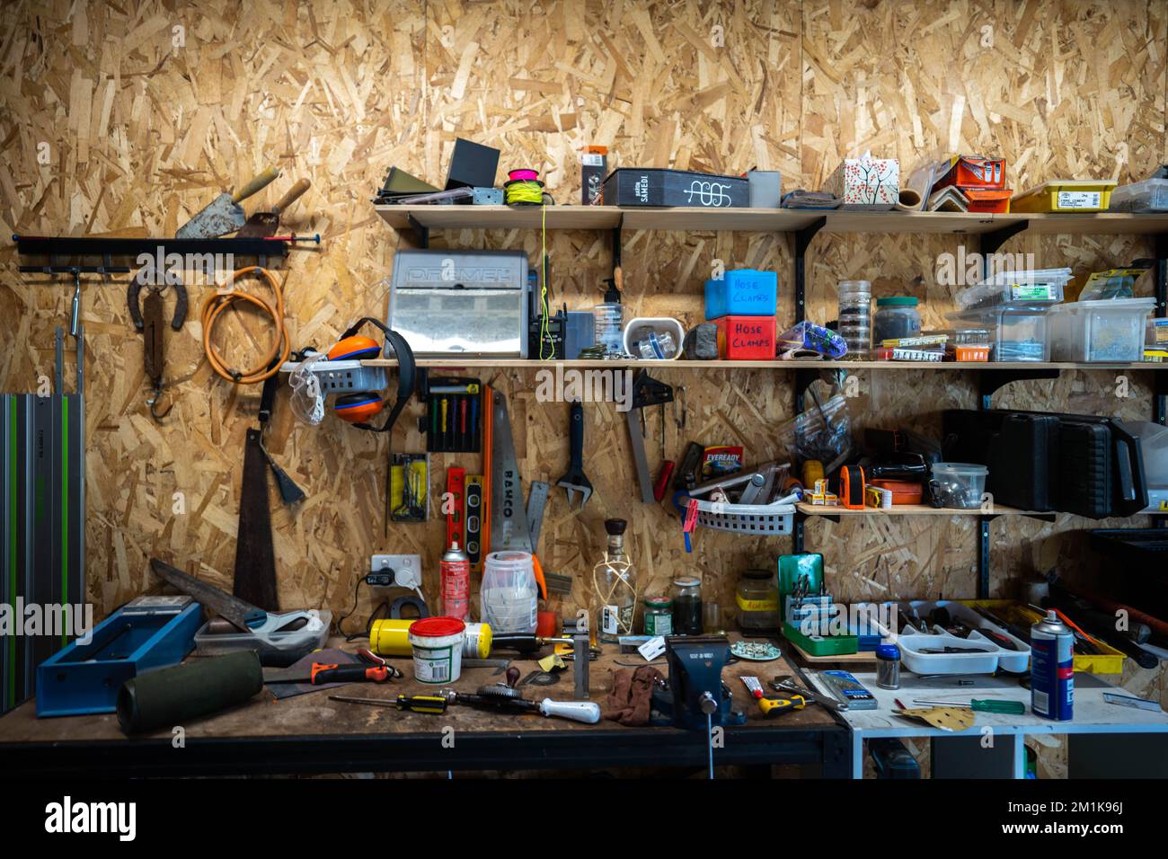 female working in a tool measuring timber in australia Stock
