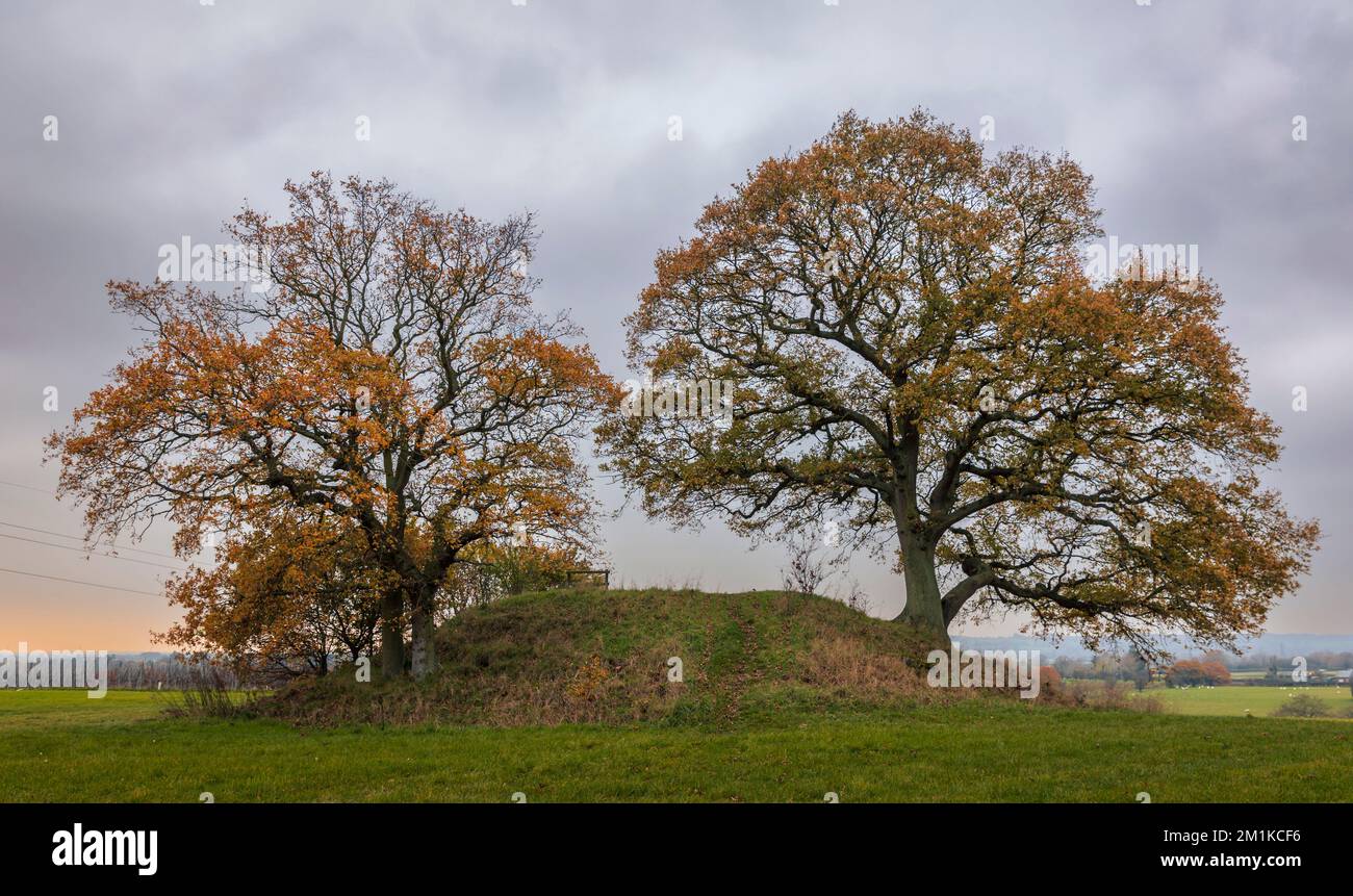 End of autumn at Round barrow burial ground Appledore Kent south east England Stock Photo