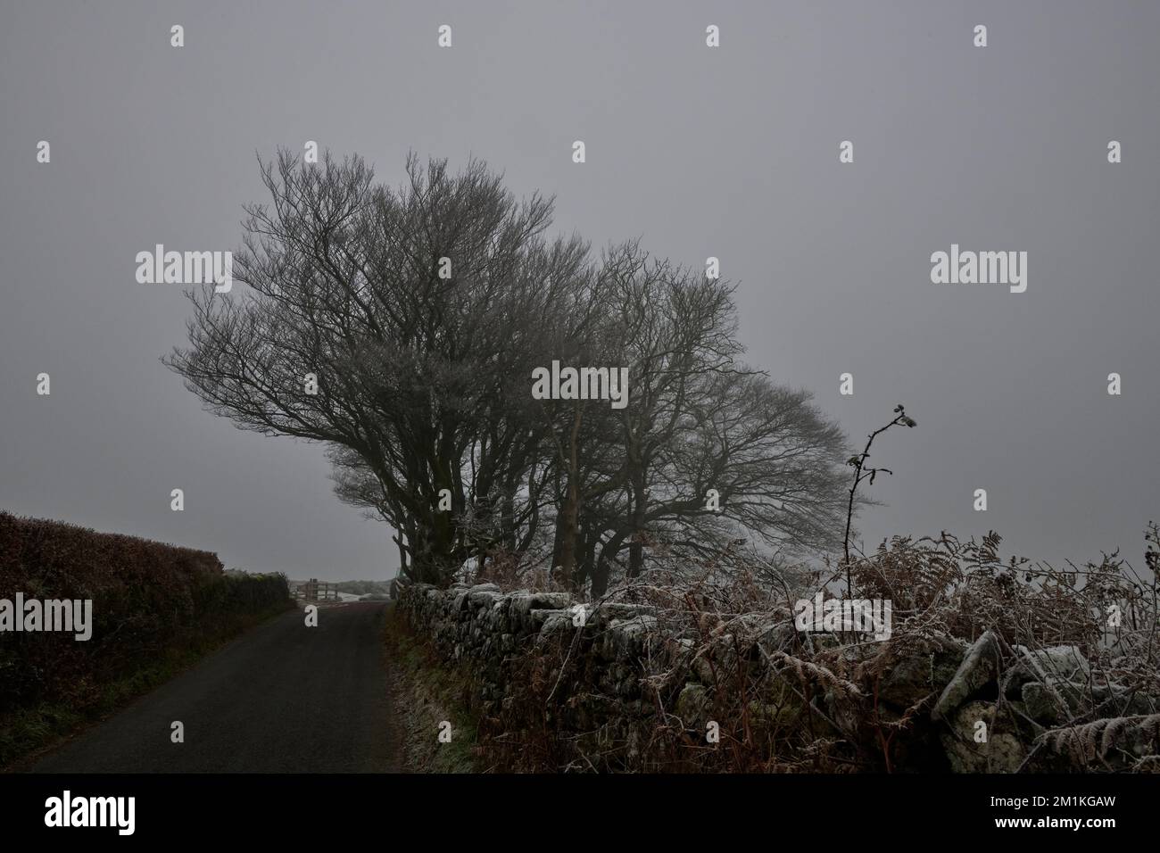 Cold East Cross in the freezing fog, Dartmoor, Devon Stock Photo