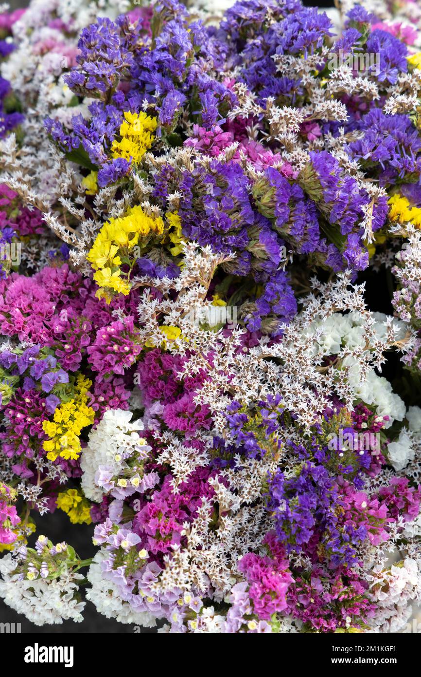 Bouquet dry flowers hi-res stock photography and images - Alamy