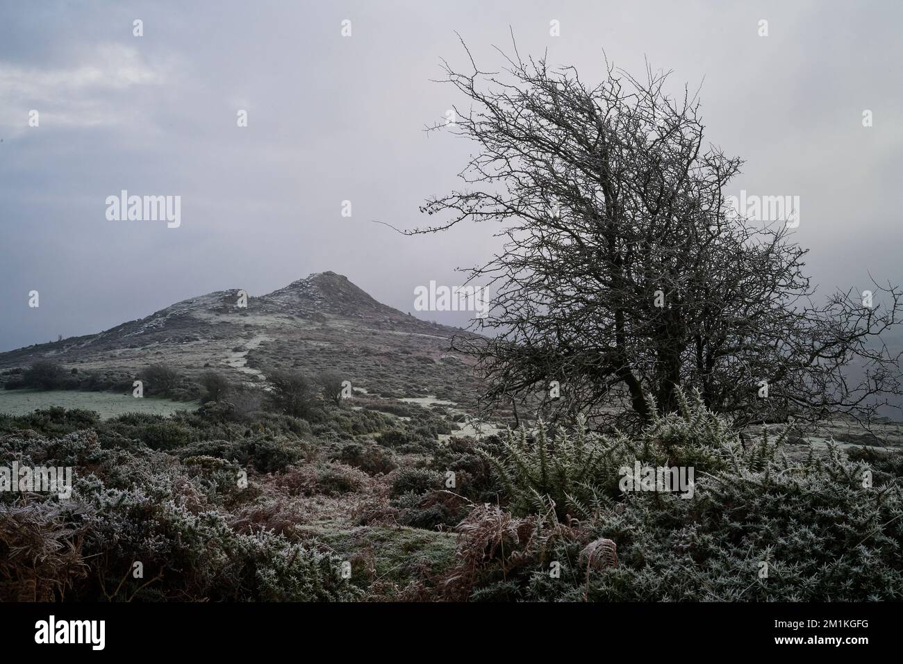 Sharp Tor, Dartmoor National Park, Devon Stock Photo