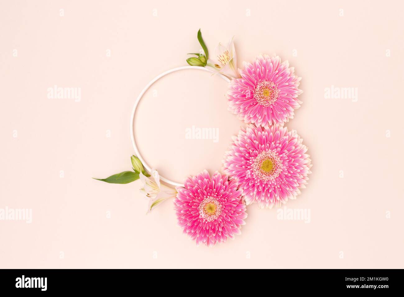 Round frame made of green leaves, alstroemeria and pink gerbera flowers ...