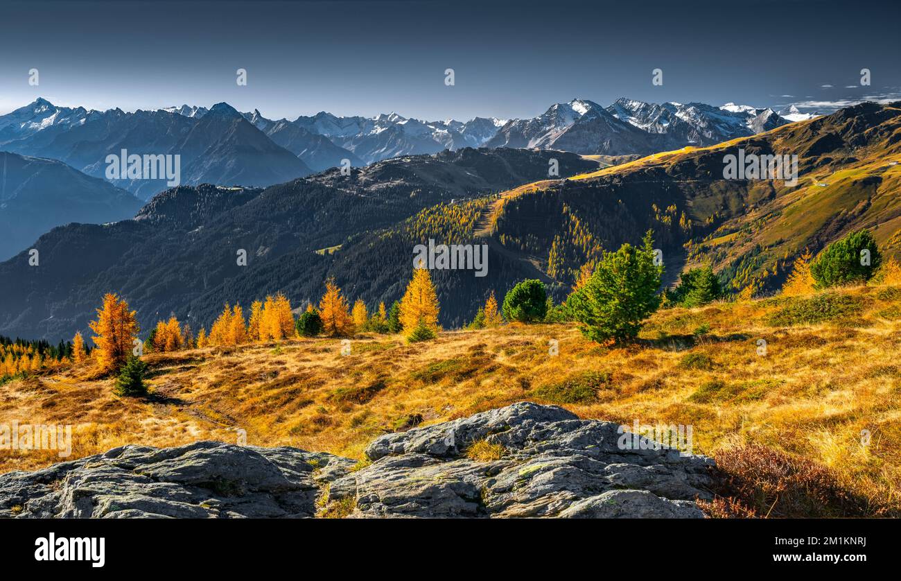 Panorama of Zillertal Alps on a sunny day of October with grass and larch trees in beautiful autumn colors. Dramatic alpine landscape in autumn Stock Photo