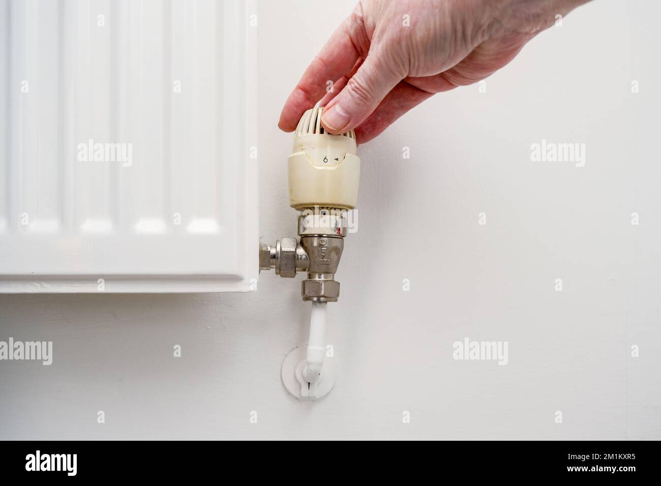 close up of plumber person turning up a thermostatically controlled radiator valve. Stock Photo