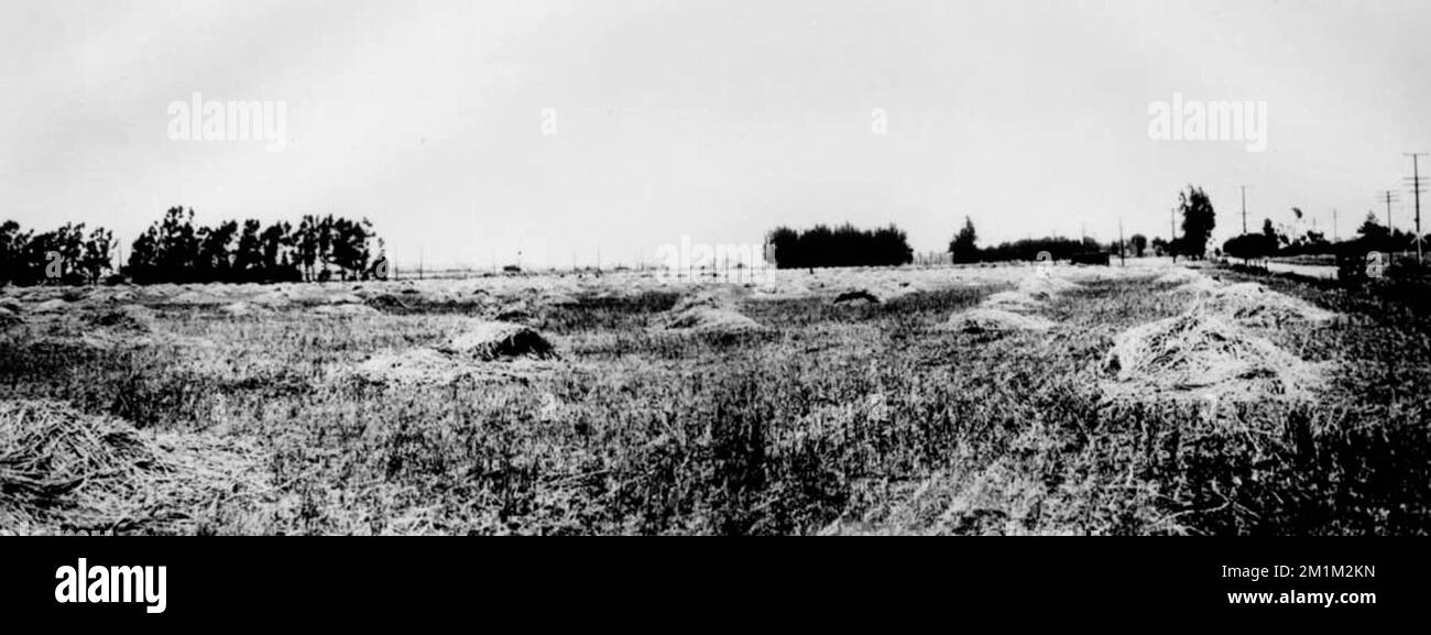 The site of Culver City, 1913 Stock Photo Alamy