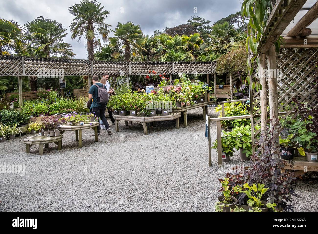 Customers buying plants at the plant centre at Trebah Gardens in