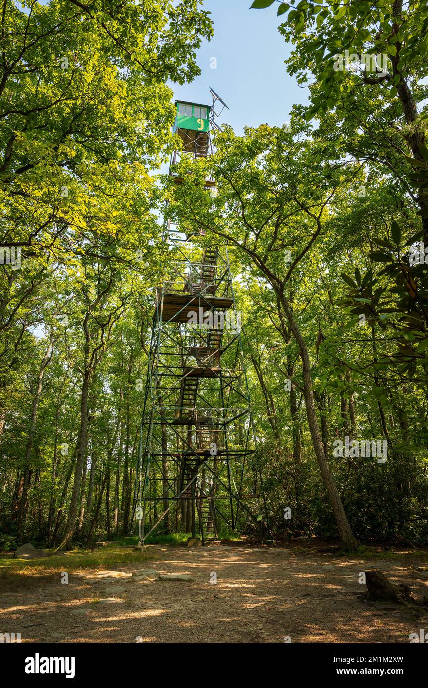 Historic Fire Tower 9 Cook Forest State Park,Pennsylvania Stock Photo