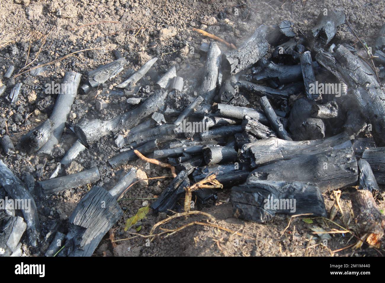 Branches that are burned to make natural charcoal for sale Stock Photo