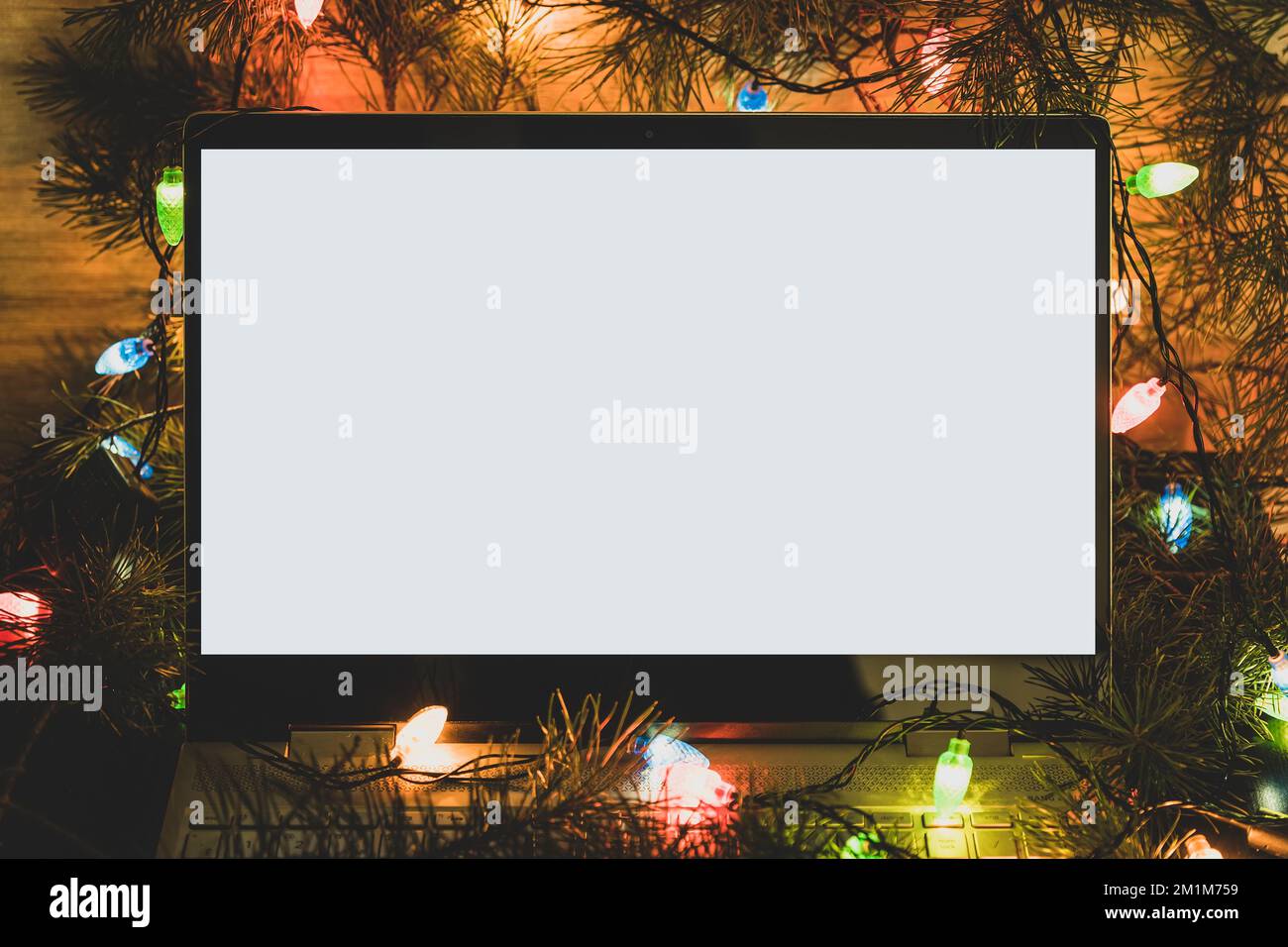 Computer laptop with blank screen in christmas tree. winter backgrounds. copy space for text and design. blank white screen on the laptop. Stock Photo