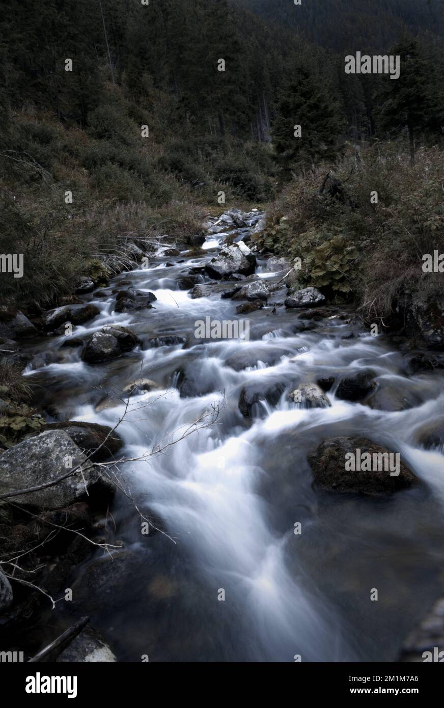 A long exposure river flowing over rocks in Ziarska Dolina valley, High Tatras, Slovakia Stock Photo